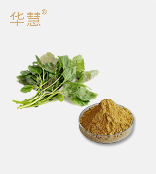 苋菜粉